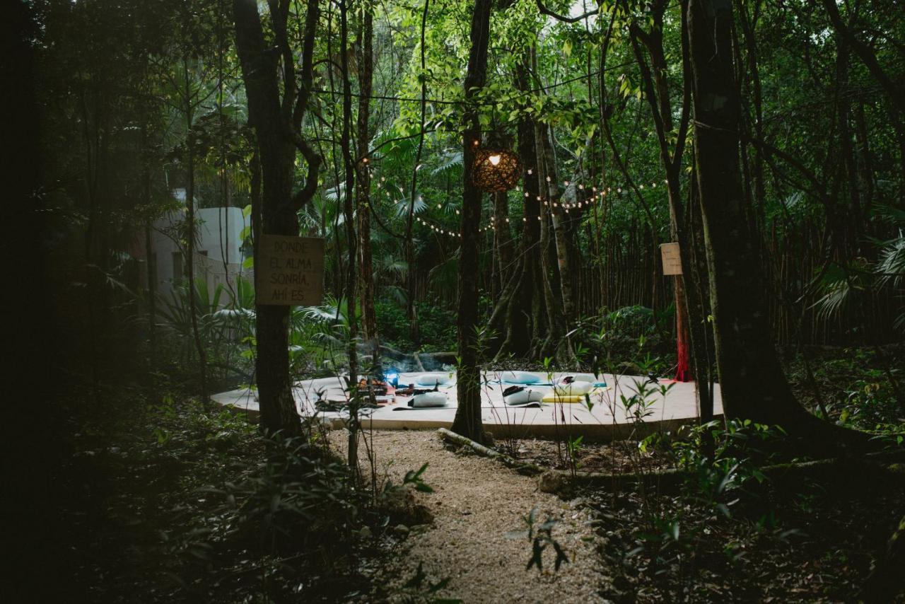 Lunita Jungle Experience 호텔 푸에르토 모렐로스 외부 사진
