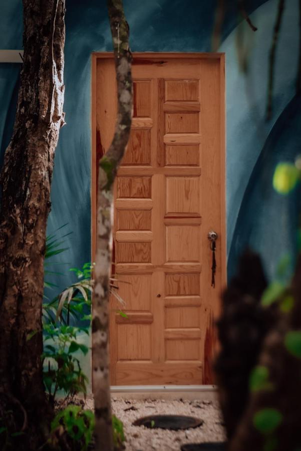 Lunita Jungle Experience 호텔 푸에르토 모렐로스 외부 사진