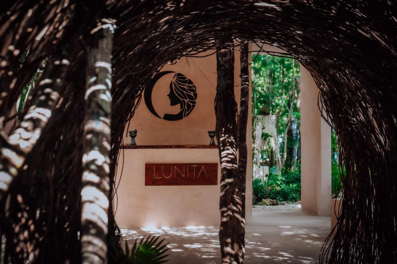 Lunita Jungle Experience 호텔 푸에르토 모렐로스 외부 사진